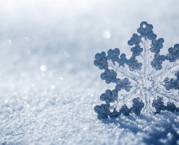 snowflake-background_050120368