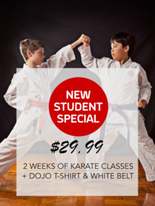 online karate classes for 4 year olds